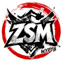 ZSM